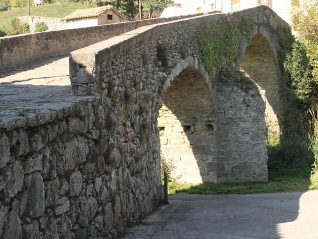 Sendero en un bosque  El contenido generado por IA puede ser incorrecto.